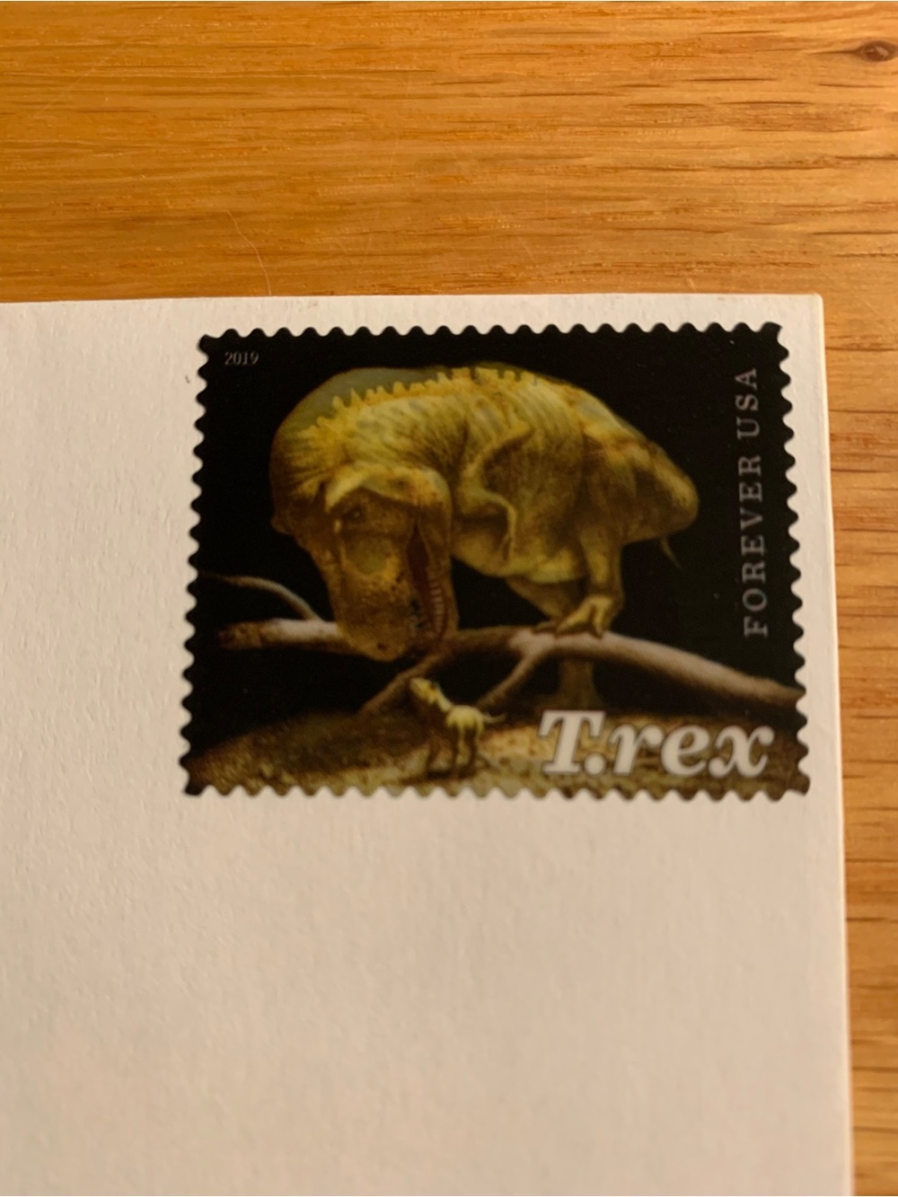 12 Stamped Dinosaur blank notecards - Picture 7 of 10